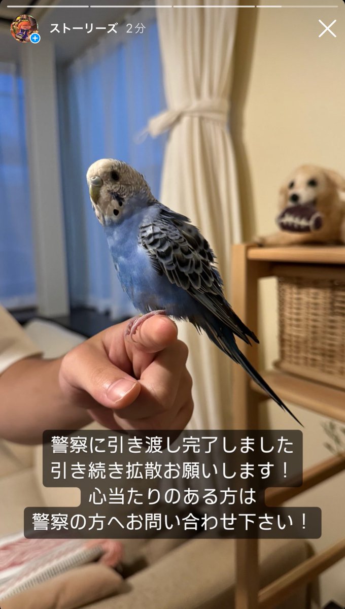 Astronaut1210's tweet photo. 引き続き拡散お願いします！ https://t.co/p04ShNqoix