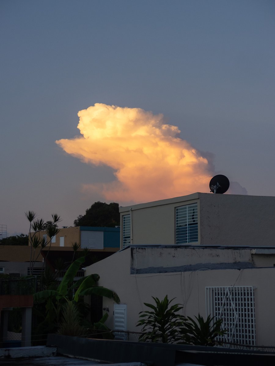 edleethompson's tweet image. Good morning!
.
#CCD #OlympusXZ1 #CCDsensor #olympusphotography #olympus #olympusccd