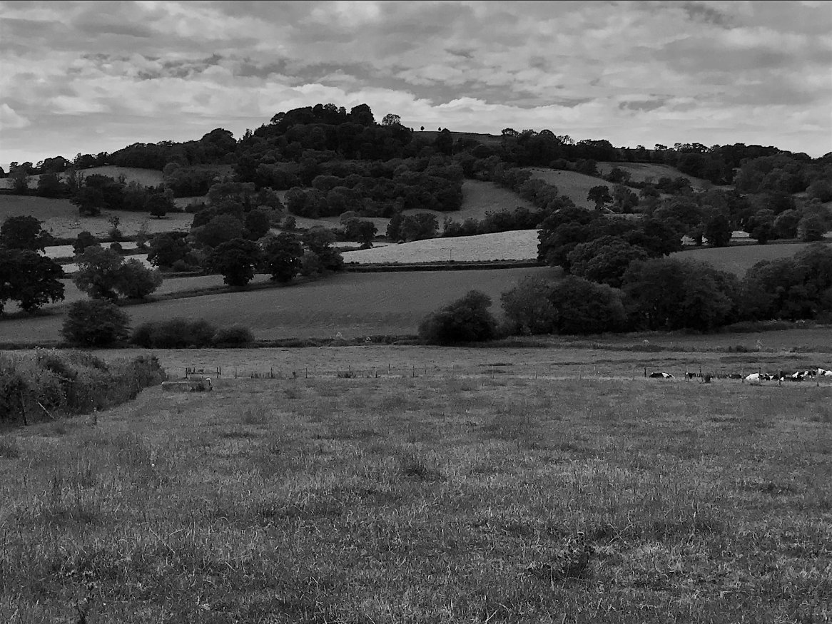 Hookland tweet media