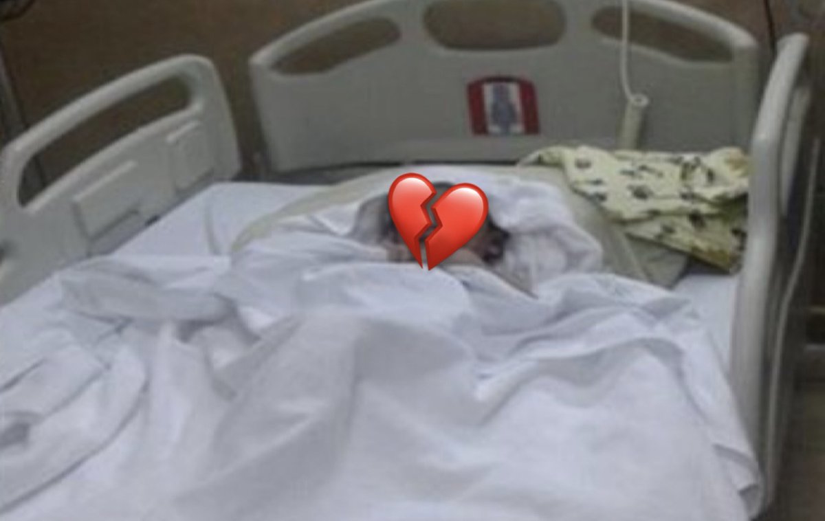 بسم الله وبه نستعين🚨

ي أهل الخير ، طفل مصاب  بسرطان حاد ويحتاج لجلسات علاج كيماوي بشكل عاجل كلموني عليه الجمعية لأن حالته ساءت 💔

عددنا كبير مقارنة بالمبلغ ،فهلاً نعينه ونكسب أجره ؟!
sahih-bisha.com/products/%D8%A…