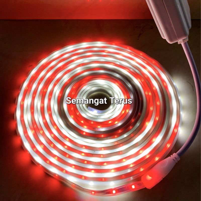 katik_707's tweet photo. Cek lampu strip Merah Putih /lampu hias 17 agustus/ Lampu Merah Putih Bendera indonesia 2835 waterproof 8 meter AC220 Video/17 Agustus Hari Nasional/Lampu strip warna warni  220V dengan harga Rp35.000. Dapatkan di Shopee sekarang! https://t.co/gcooUbJ8N1 https://t.co/9px2MmiUvr