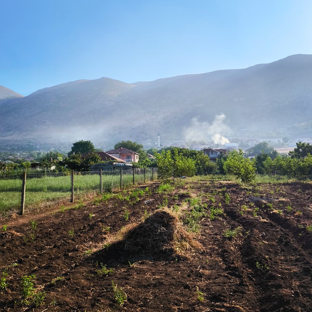 KorcaNeolithic's tweet photo. Early field impressions and a small fieldlecture on soil sampling 🥰👏

#korca #neolithic #project #albania #international #excavation https://t.co/fKY9HQPUCr
