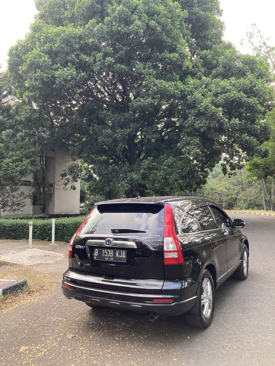 Biliputra Dipradja tweet media