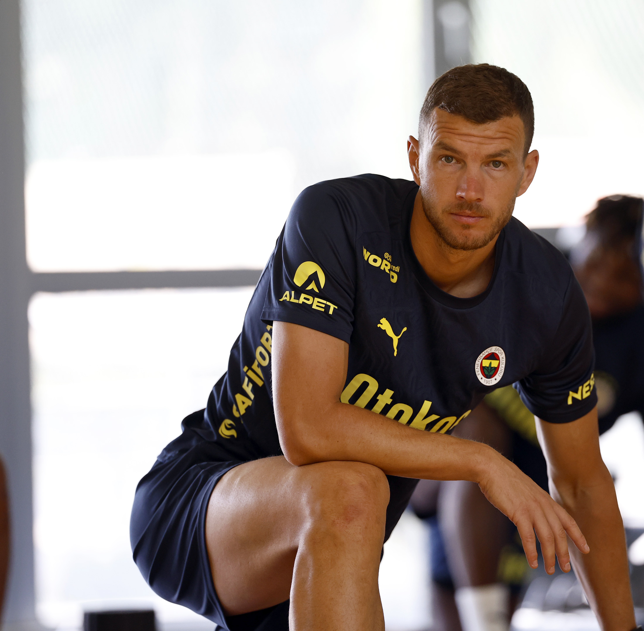 dzeko