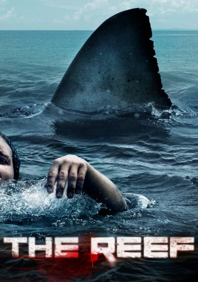 justaida3's tweet photo. 🎵 Cuando llega el calor, los chicos se enamoran y los tiburones salen a comer 🎵 ¿Estáis preparados para el segundo día del #Sharkweekend en @cuatro? En la Bloody Manor vamos con todo esta tarde 🦈🦈🦈 https://t.co/yRjUeitEFK