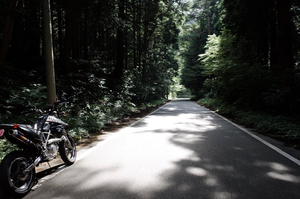 tsirosi's tweet photo. 夕方から流し🏍️🌬️
板屋峠〜蛤岳林道〜金山林道〜三瀬峠。
渋滞とは無縁のコースで、ゆっくりと時間が流れてた🍵
#kawasaki #dトラッカー125 https://t.co/KUFZYgXjUY