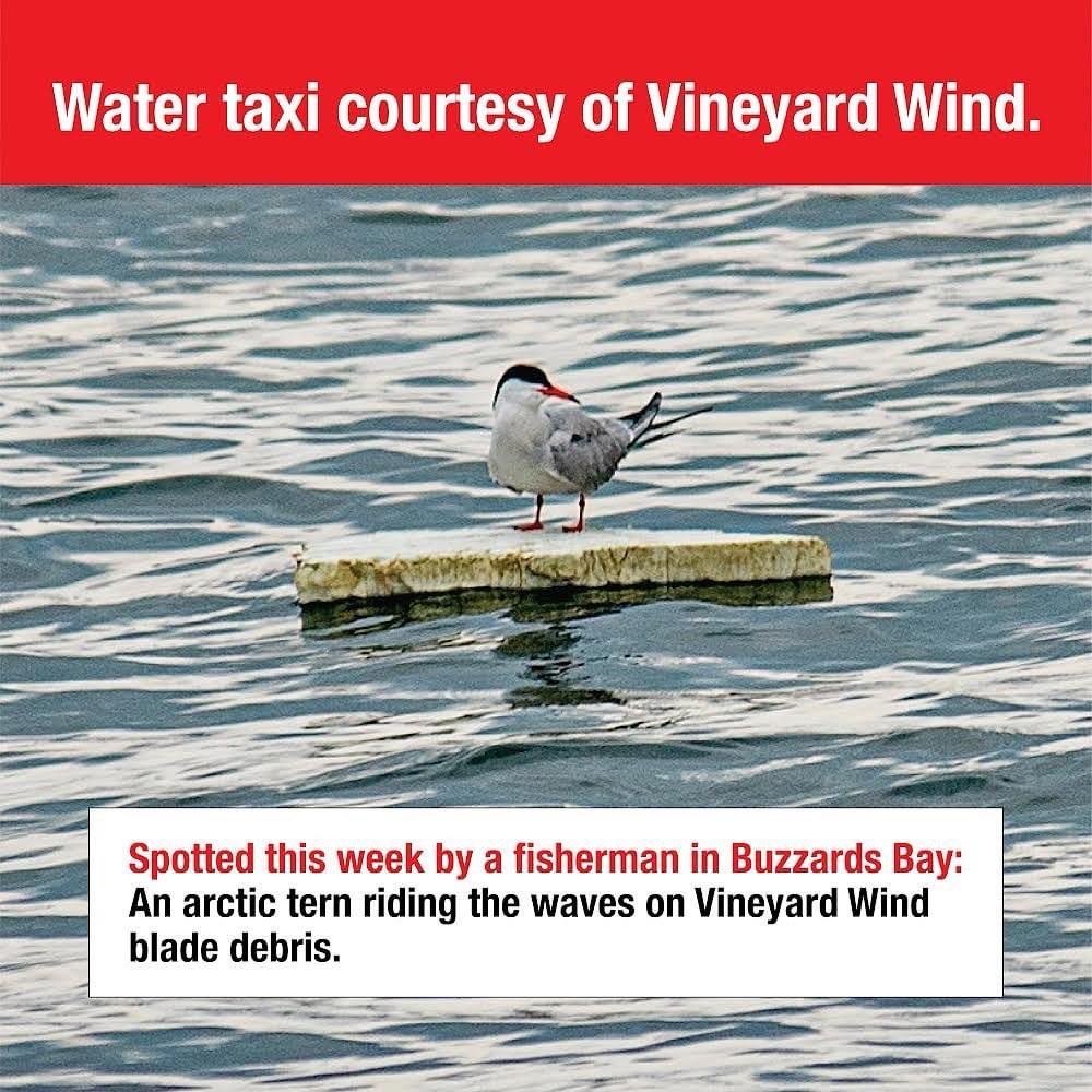 Jamie Steiert (@jerseyoceansos) on Twitter photo Stop offshore wind now!
<a href="/njcoast_protect/">Protect Our Coast NJ</a>
<a href="/Congressman_JVD/">Congressman Jeff Van Drew</a>
<a href="/FoxNews/">Fox News</a>
<a href="/JesseBWatters/">Jesse Watters</a>
<a href="/PlanetTyrus/">Tyrus</a> Stop offshore wind now!
<a href="/njcoast_protect/">Protect Our Coast NJ</a>
<a href="/Congressman_JVD/">Congressman Jeff Van Drew</a>
<a href="/FoxNews/">Fox News</a>
<a href="/JesseBWatters/">Jesse Watters</a>
<a href="/PlanetTyrus/">Tyrus</a>