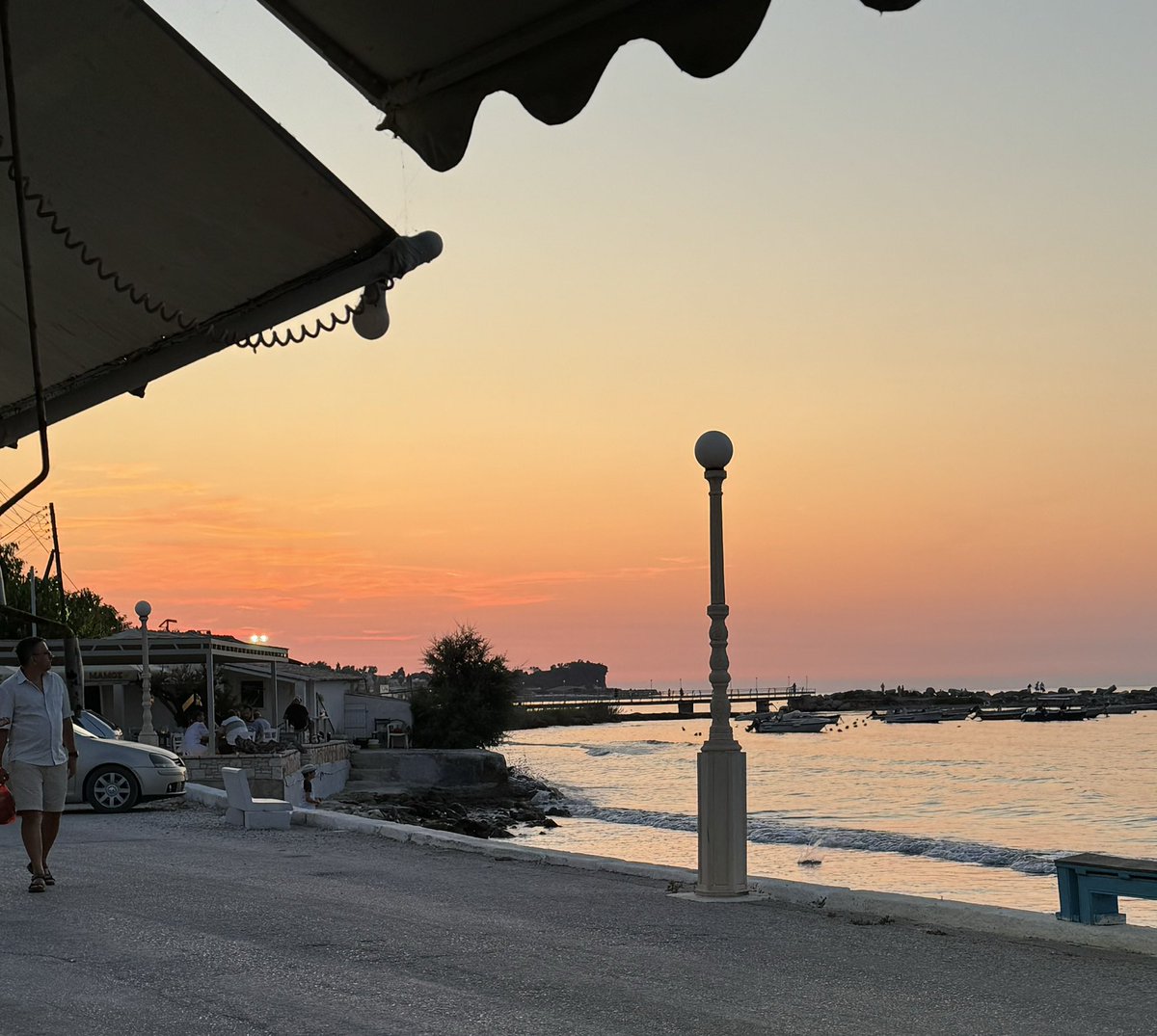 Jo Gardiner tweet media