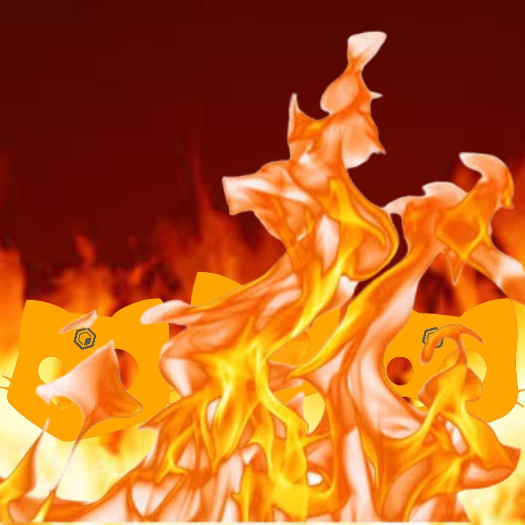 coreOGcats's tweet photo. #OGCATS wanna make you happy 😁

Another 100,000,000 $OGC burnt 🔥
Bringing the total supply from 2.1B down to 1.9B

🔗 https://t.co/j3BhLRXEu8

Just #HODL #CoreDAO https://t.co/BJlhzDD9iV