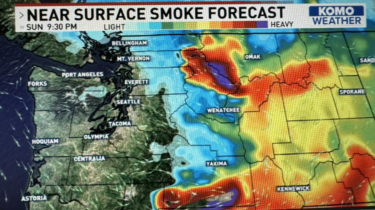 Brian Calvert tweet media