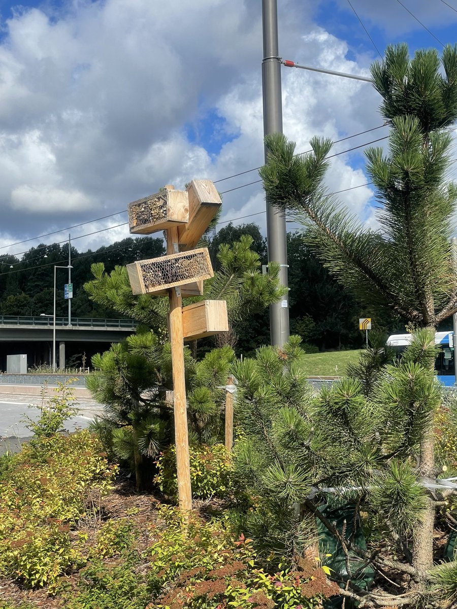 Ratikkalinja 13 starttaa pian. Nylanderinpuiston pysäkin kohdalle on tehty mahtava hyönteishotellikeskittymä. Se ilahduttaa myös kävelijöitä ja pyöräilijöitä.