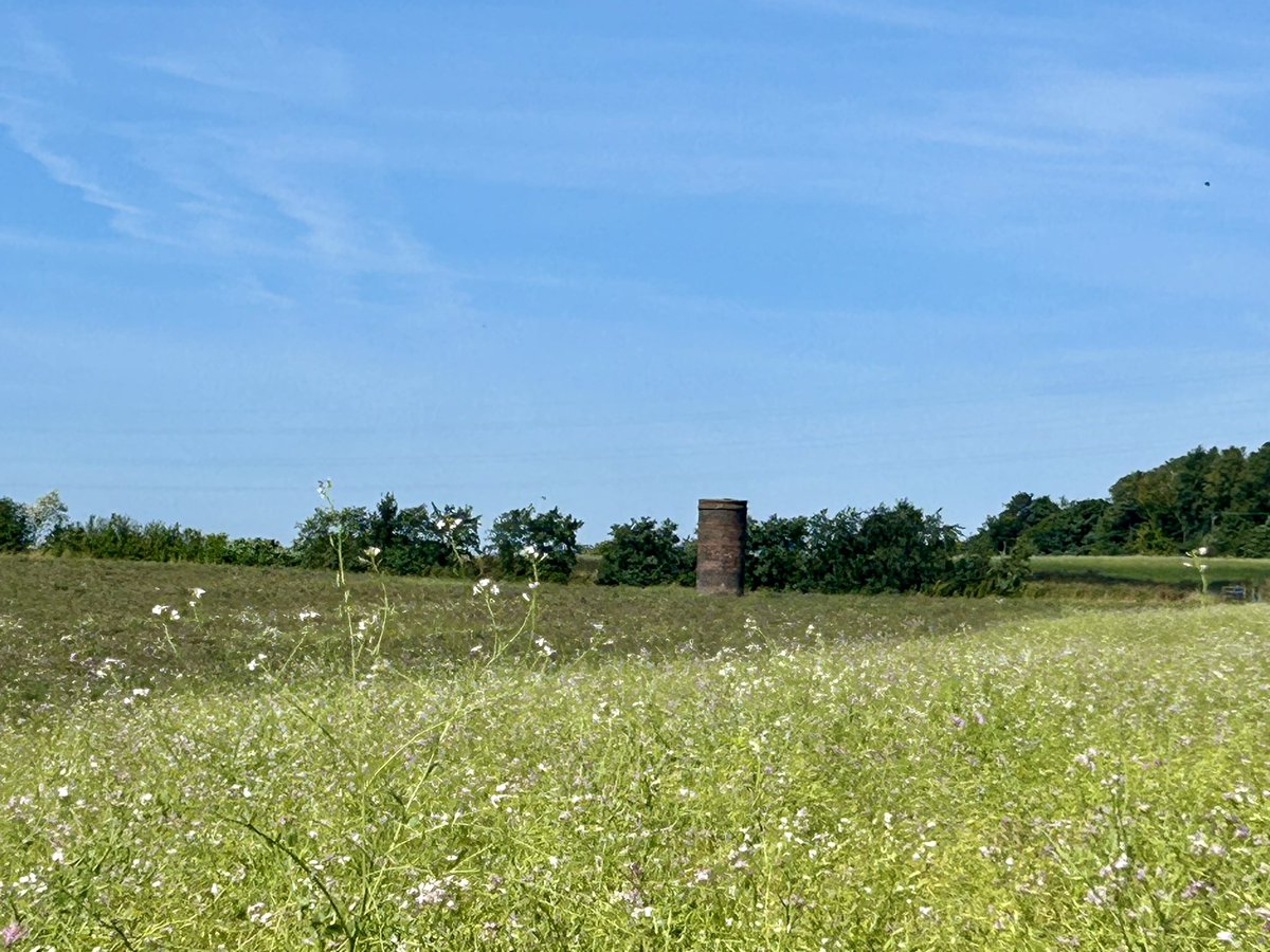 Team Pie (@teampie1) on Twitter photo 