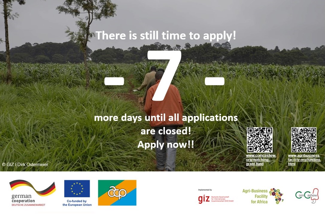 Agri-Business Facility (ABF) tweet media