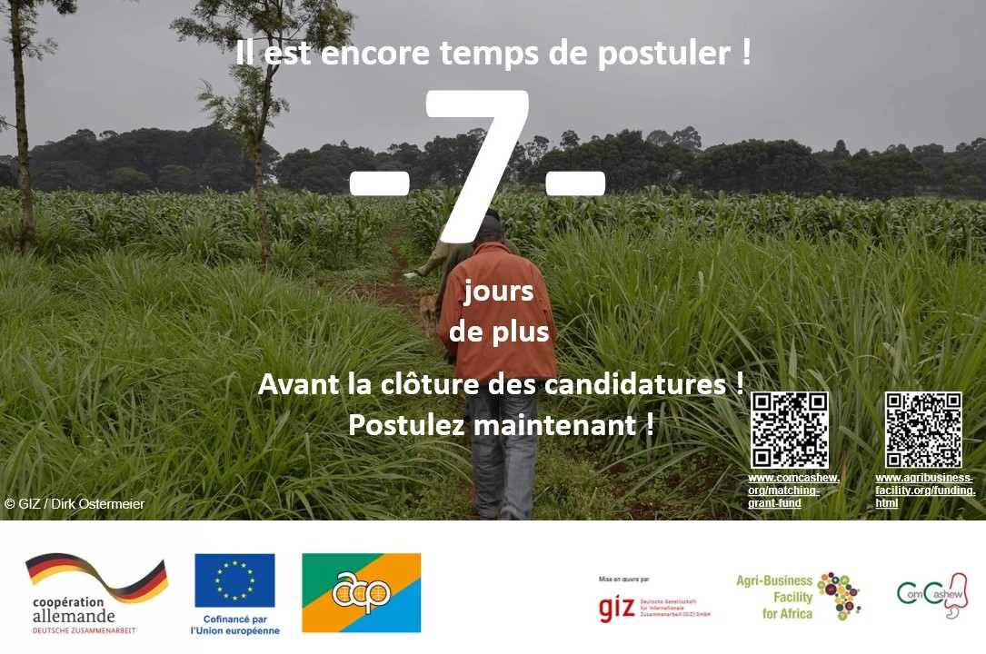 Agri-Business Facility (ABF) tweet media