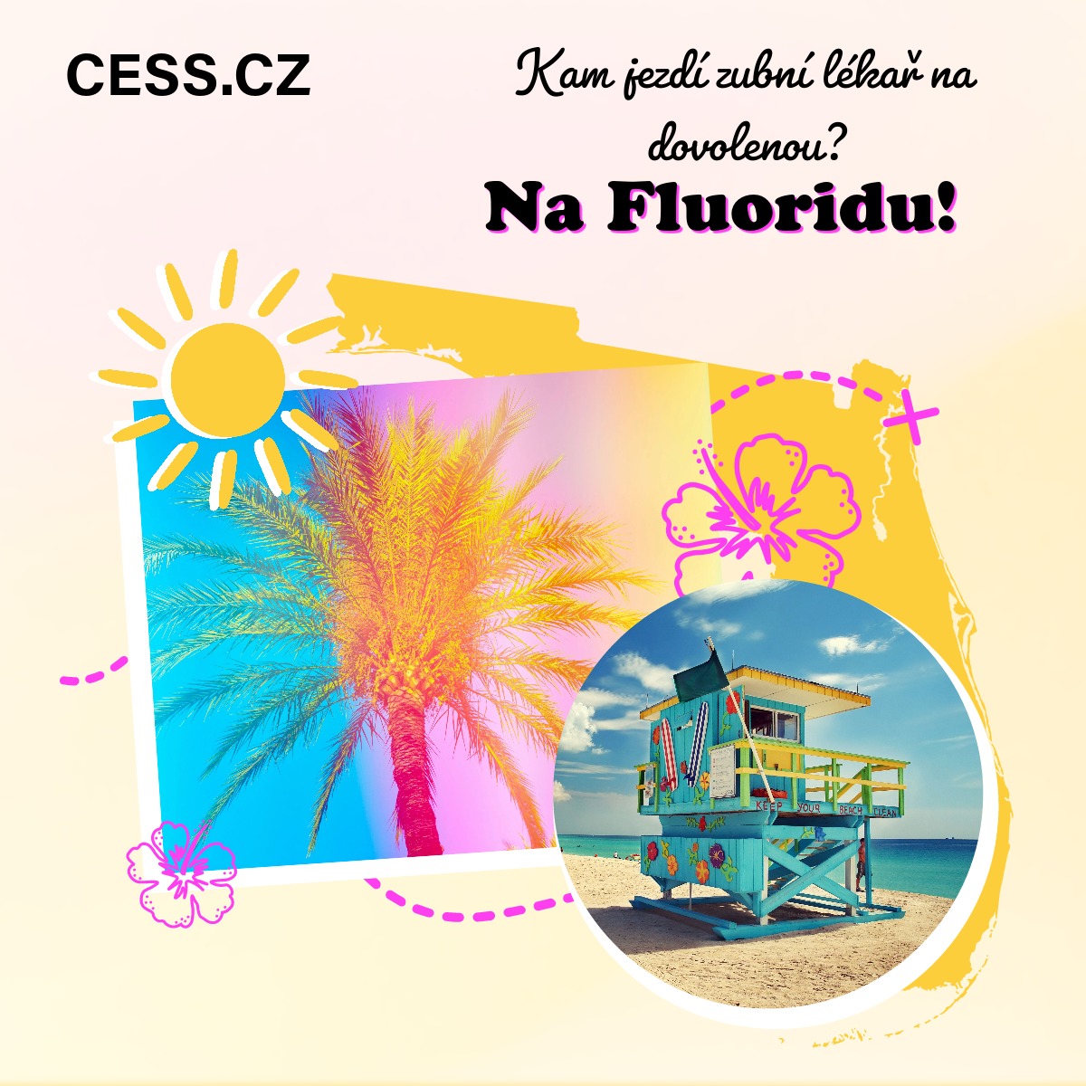 cess_cz's tweet photo. Kam jezdí zubní lékař na dovolenou? https://t.co/ZLnV1lkSEd