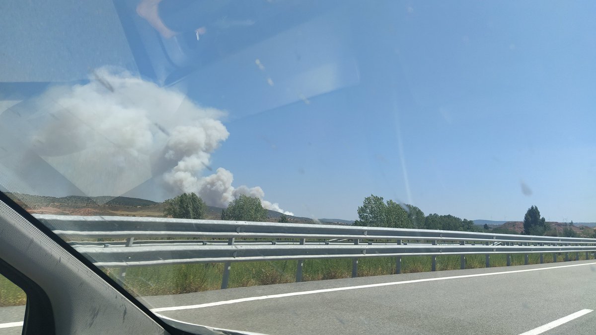 Pino Aínsa Bonafé tweet media