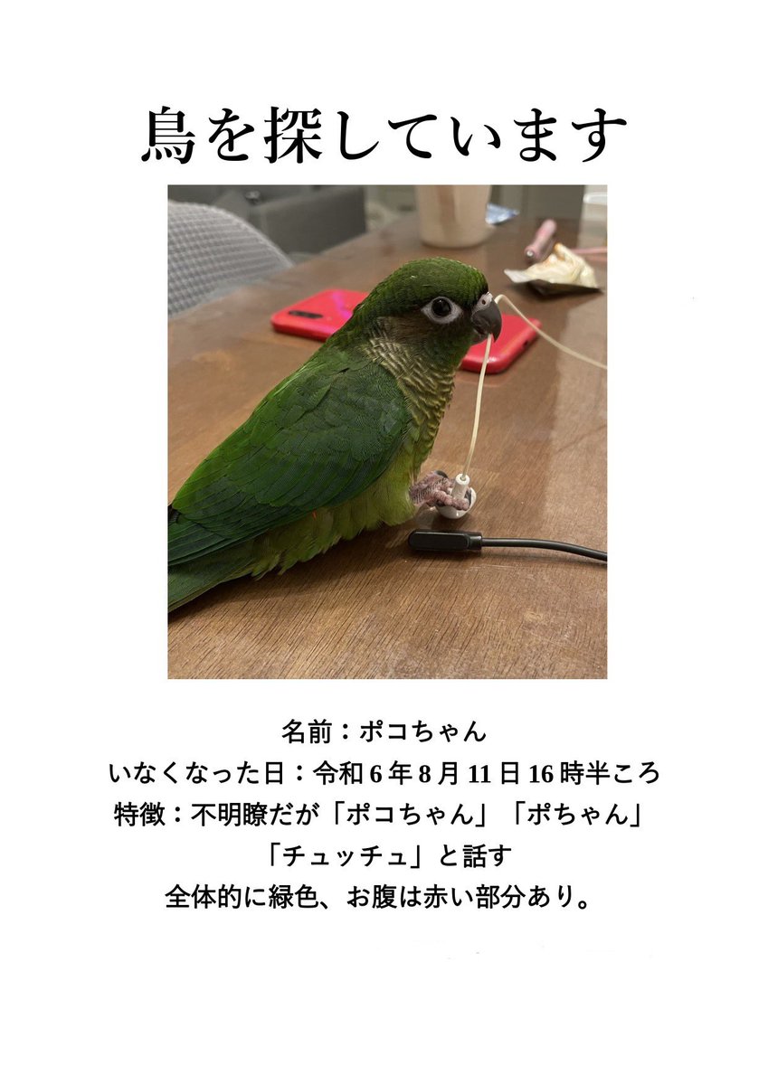 pokochan_lost's tweet photo. 令和6年8月11日にホオミドリウロコインコのポコちゃんが行方不明になってしまいました。
少しでも情報があればお知らせ頂ければ幸いです。
#ホオミドリウロコインコ
#迷子
#迷子インコ
#行方不明
#探しています
#山形県鶴岡市
#拡散希望 https://t.co/3dSSmPIH5F
