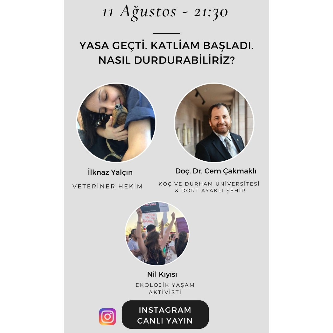 📢Bu akşam Dört Ayaklı Şehir'den ekonomist, Koç Üniversitesi ve Durham Üniversitesi öğretim üyesi sevgili <a href="/cem_cakmakli/">Cem Çakmaklı @cemcakmakli.bsky.social</a>, veteriner hekim İlknaz Yalçın ve Nil Ormanlı <a href="/nilkiyisi/">ASUDE ÇINAR</a> ile 📌Instagram <a href="/nilkiyisi/">ASUDE ÇINAR</a> hesabında
⏰️ 21:30

Katliam yasasını, Altındağ’da yaşananları ve yasayı