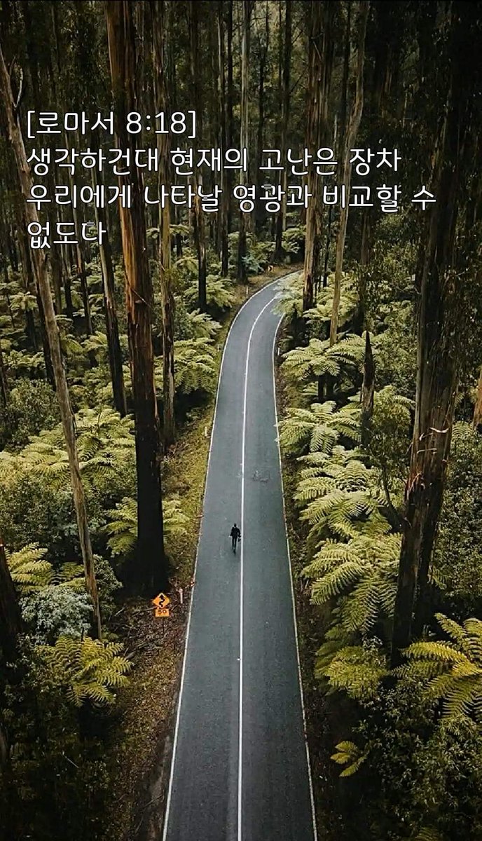 [로마서 8:18] 생각하건대 현재의 고난은 장차 우리에게 나타날 영광과 비교할 수 없도다