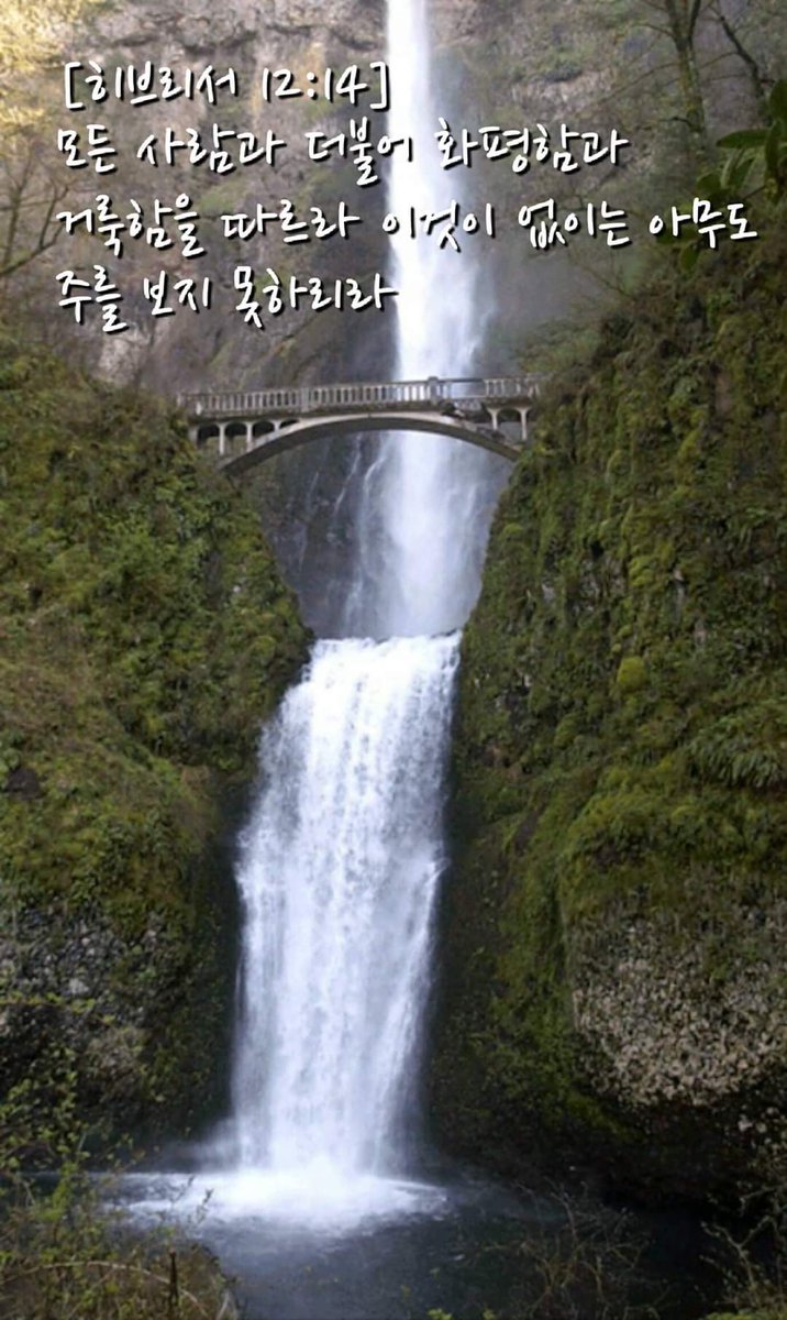 [히브리서 12:14] 모든 사람과 더불어 화평함과 거룩함을 따르라 이것이 없이는 아무도 주를 보지 못하리라
[히브리서 12:15] 너희는 하나님의 은혜에 이르지 못하는 자가 없도록 하고 또 쓴 뿌리가 나서 괴롭게 하여 많은 사람이 이로 말미암아 더럽게 되지 않게 하며