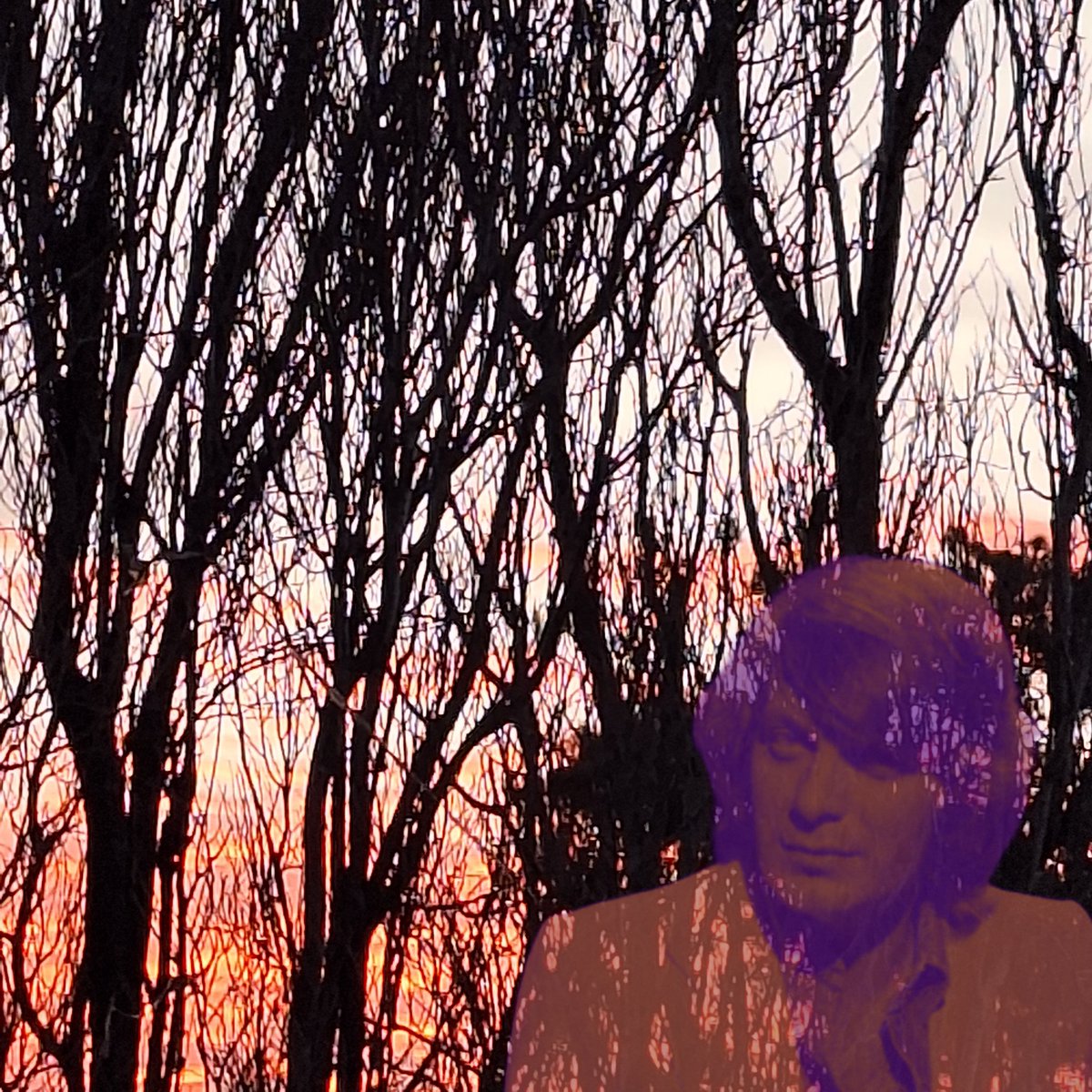 Seba Vallejo tweet media