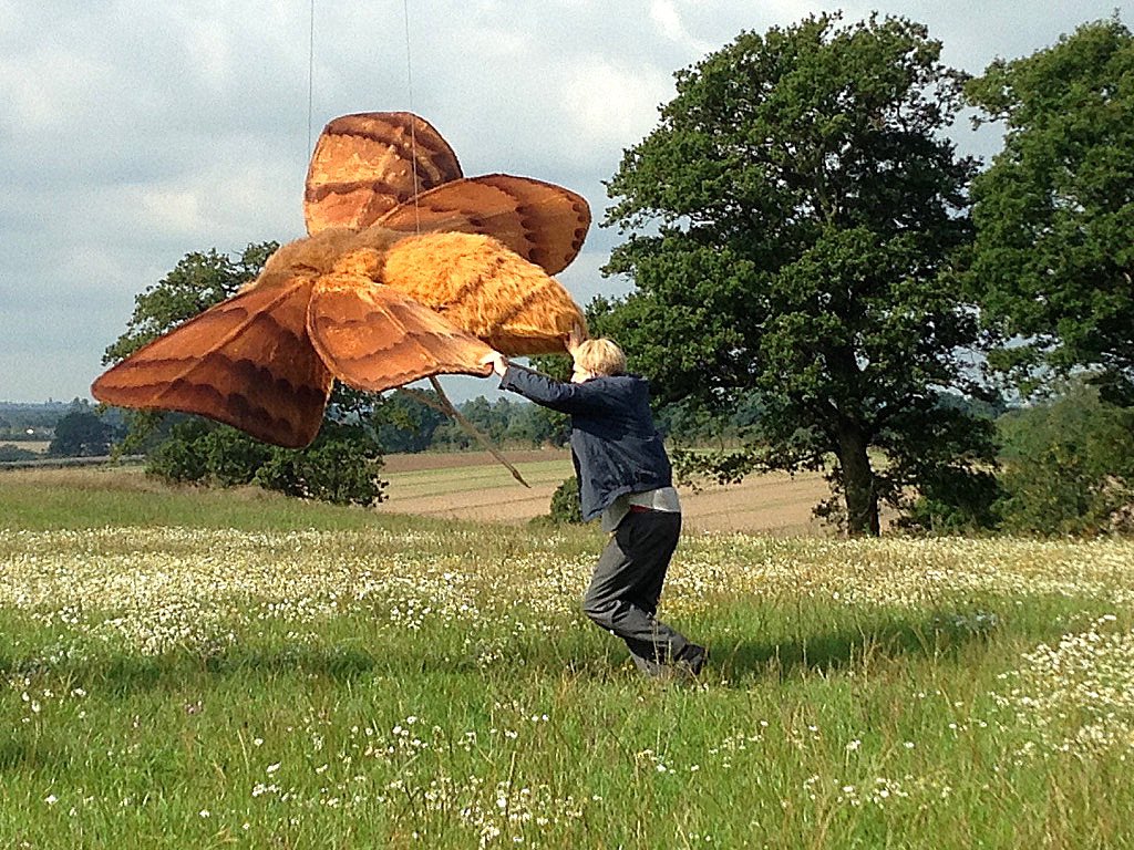 Tim Vine tweet media