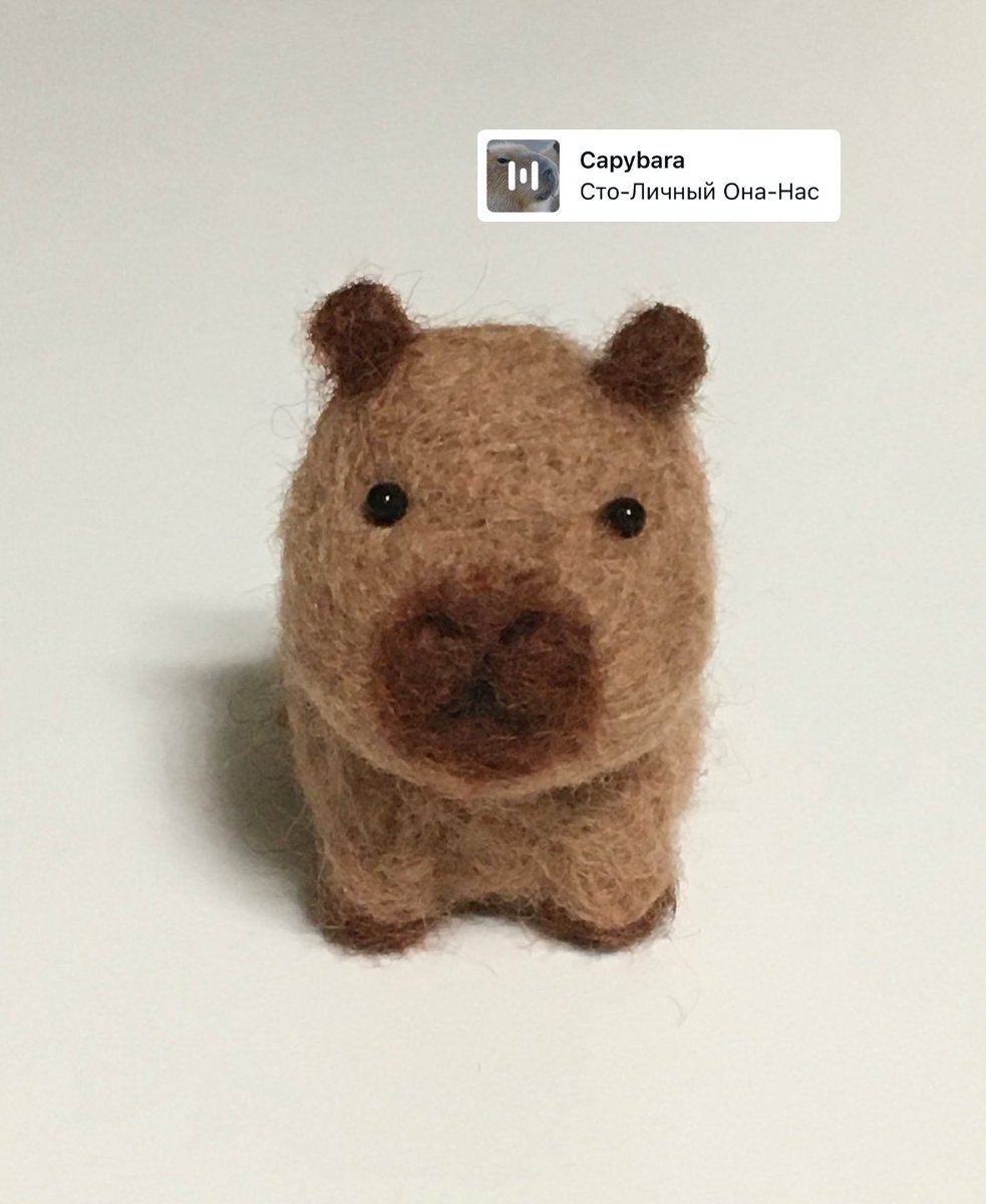 puppuding's tweet photo. Capybara https://t.co/Ce3KTfCcNq