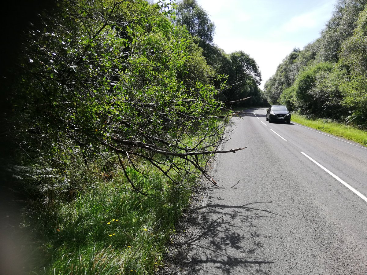 Beware branches in the carriage way on the Oban side of Inveraray. <a href="/trafficscotland/">Traffic Scotland</a> <a href="/argyllandbute/">Argyll and Bute Council</a> Many broken mirrors and cars taking avoiding action.