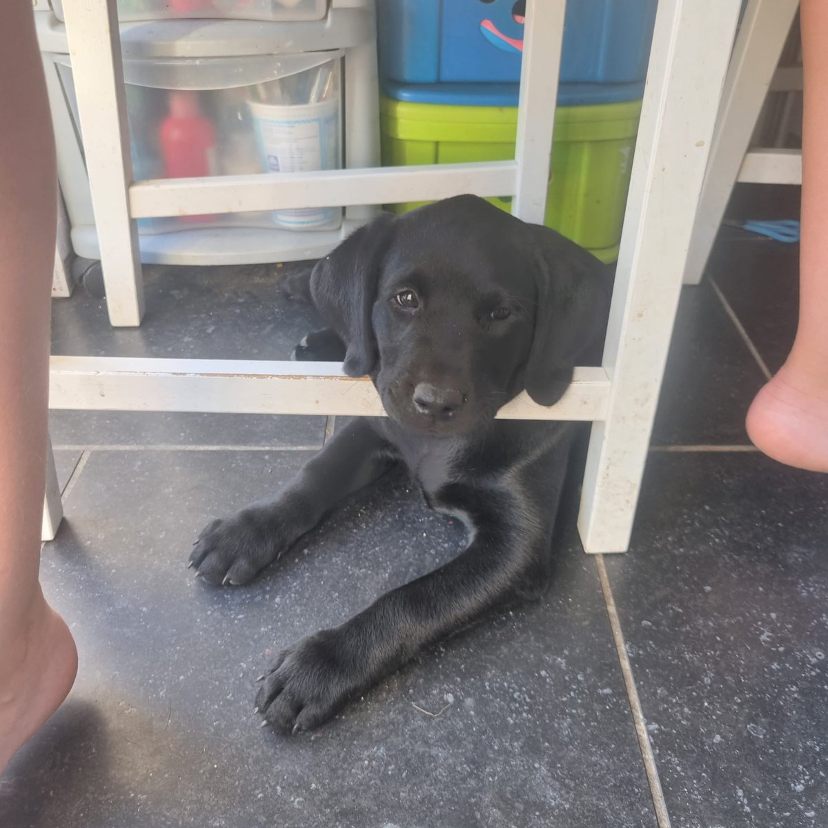 leedole28's tweet photo. Meet the newest addition to the family https://t.co/yvFBHDwj8p