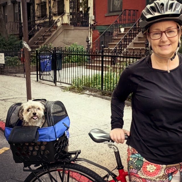 Tiffanie_Fisher's tweet photo. Smiles all around for Brownie’s first bike ride! We drove around for 2 hours and saw lots of #hoboken friends and neighbors. #stillthecutest #couldntlovehimmore #bikerdog #dogsofhoboken #hobokendogs #dogs #adoptdontshop #bike #bicycle https://t.co/g5KmaywBYY