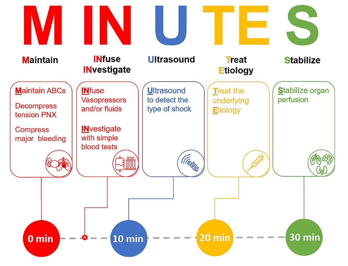 MedClubPage's tweet photo. #MedicinaCrítica #MedicinaInterna
El acrónimo MINUTES para los 30 min iniciales del shock circulatorio indiferenciado.

Int J Emerg Med. 2024;17(1):96. doi:10.1186/s12245-024-00660-y https://t.co/YMInkHVwTM