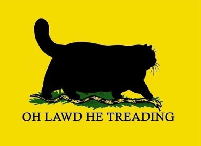 kkitteh's tweet photo. #treadin #SlavaBitches #SlavaUkraini
Wut Kursk doin noa?
#meow #Nafocatdivision
#OAF
#lol https://t.co/JIniNLXFQg