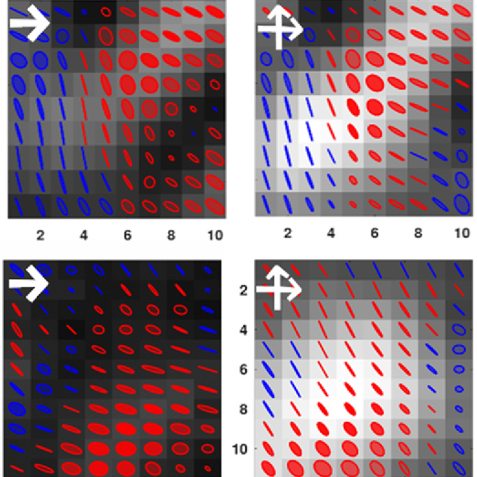 OpticaPubsGroup's tweet photo. Via #OPG_OL: Probing the enpolarization phenomenon in a speckle pattern using a microwave photonics-inspired approach https://t.co/ibYjfyRFli #SpecklePattern #LaserImaging @RennesUniv https://t.co/skUPC3EUsh