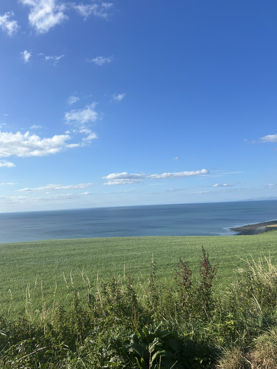 04Burch's tweet photo. @Syndicate @GXDODD would you just look at that view!!!! https://t.co/MWMafz8IBi