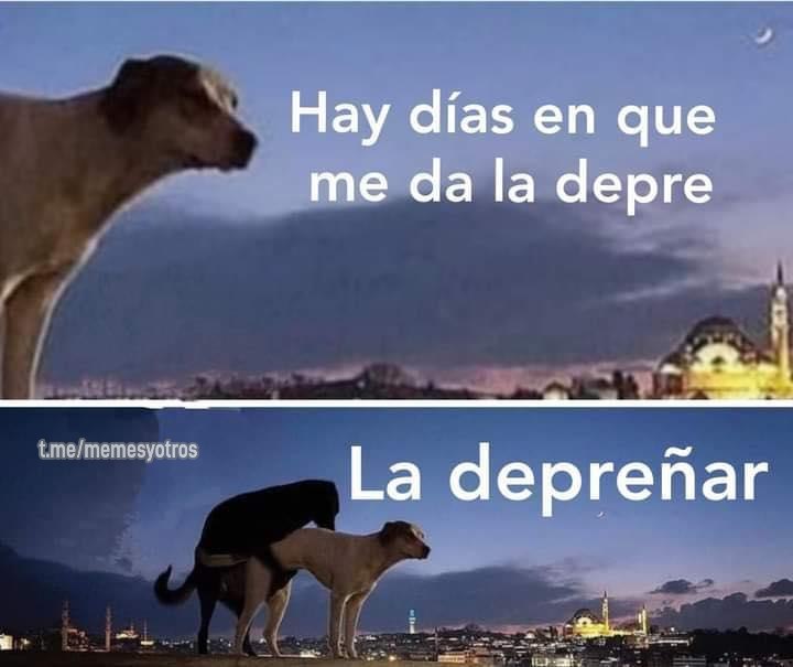 DonMemazos's tweet photo. https://t.co/Rhp0h7JT32