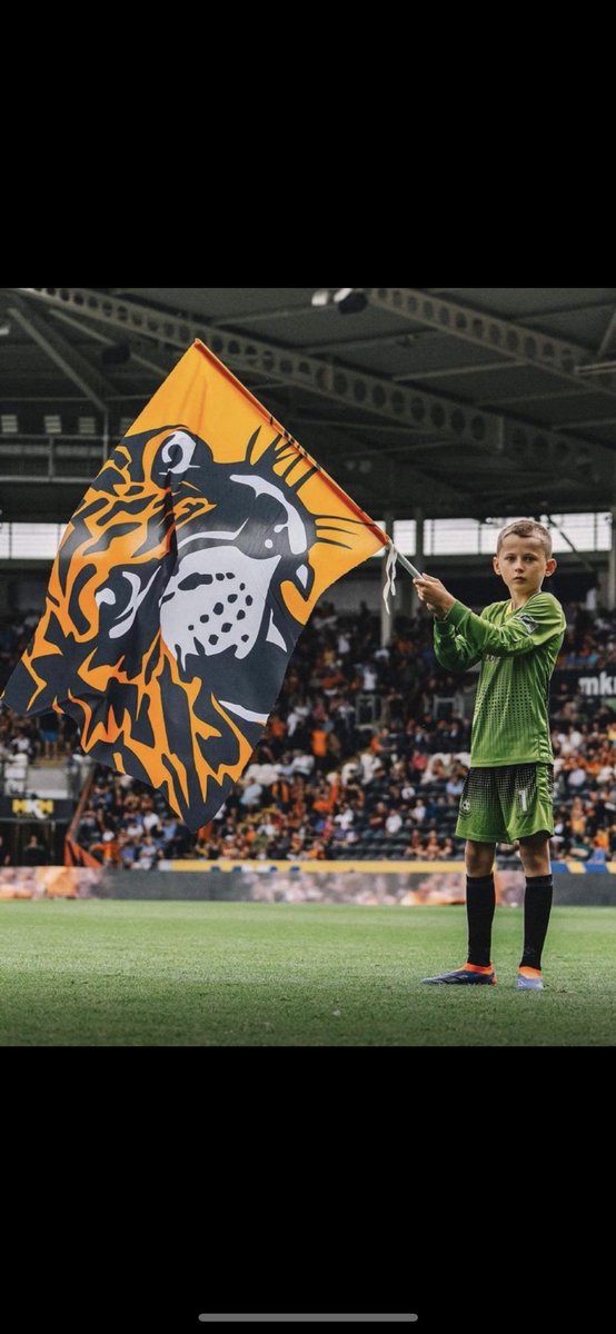 Dave Green tweet media