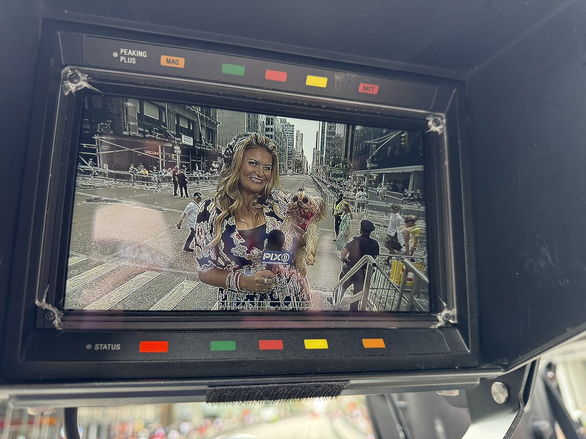 monicamoralestv's tweet photo. Are you watching? Meet one of my cohosts! Mochi is with me. @colinpbentley Make sure to watch the 42nd National Dominican Day Parade!  I’ll be on fifth ave!  @pix11news @goyafoods #monicamakesithappen #monicamakesithappenshow #dominicandayparade #nyc @natddp LIVE 2-5 pm today https://t.co/gzcux4wGkr