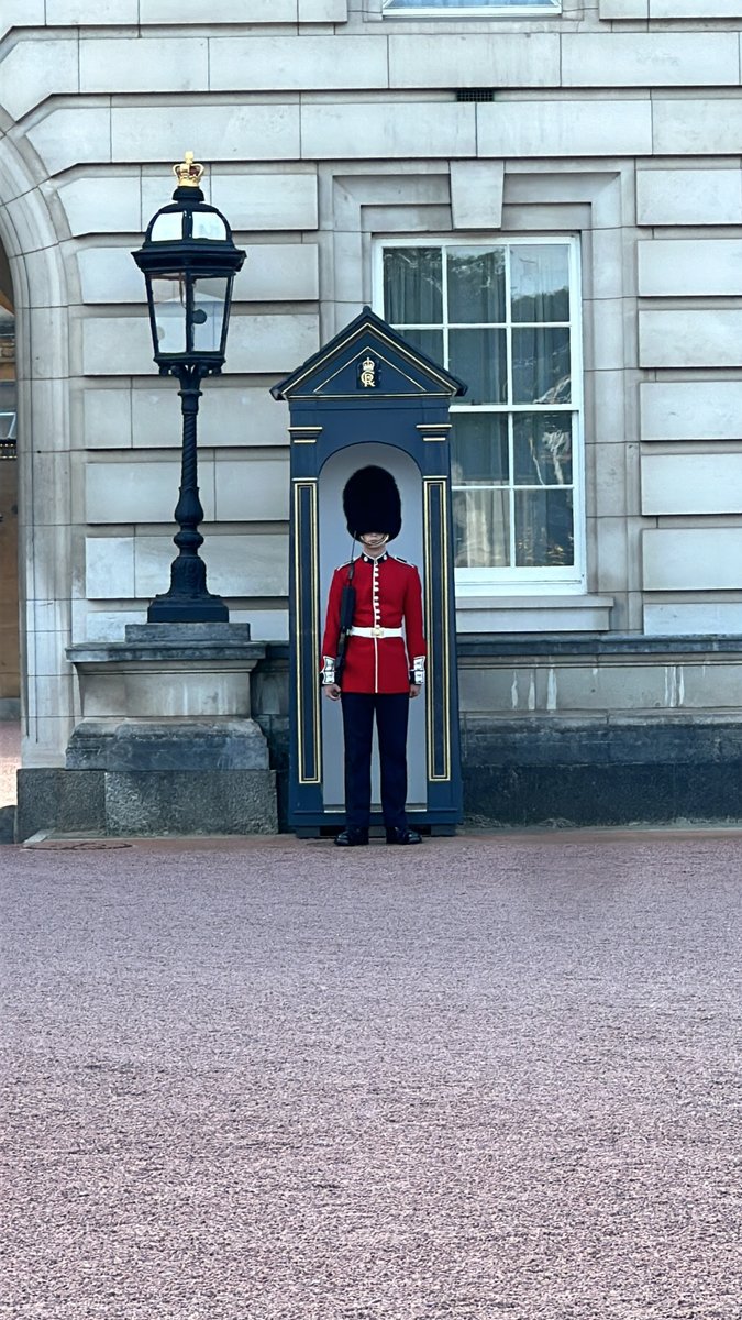 Daily Dose tweet media