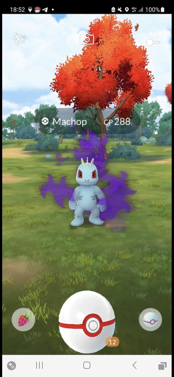 1Peggy97's tweet image. Shadow Hundo #9🥳

And one I’m very happy about, grunt nr 29.709😍🔥

#shadowlove #pokemongo #shadowhundo