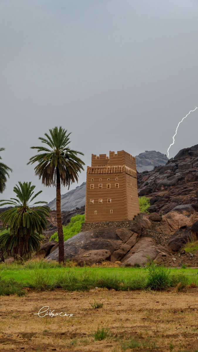 يوسف حوكاش tweet media