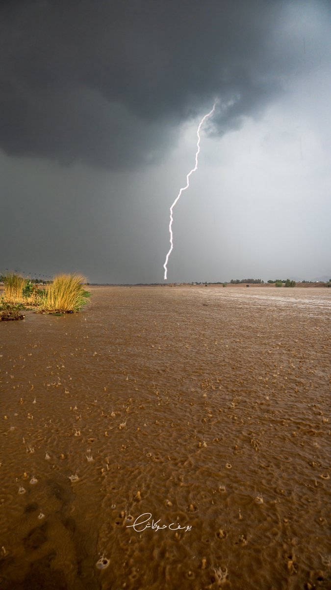 يوسف حوكاش tweet media