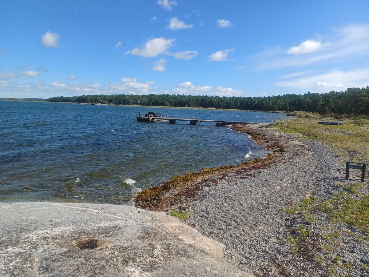 MatthiessenAnna's tweet photo. The Stockholm archipelago is just beautiful #Torö #LaFamiglia https://t.co/dgsavbnVvf