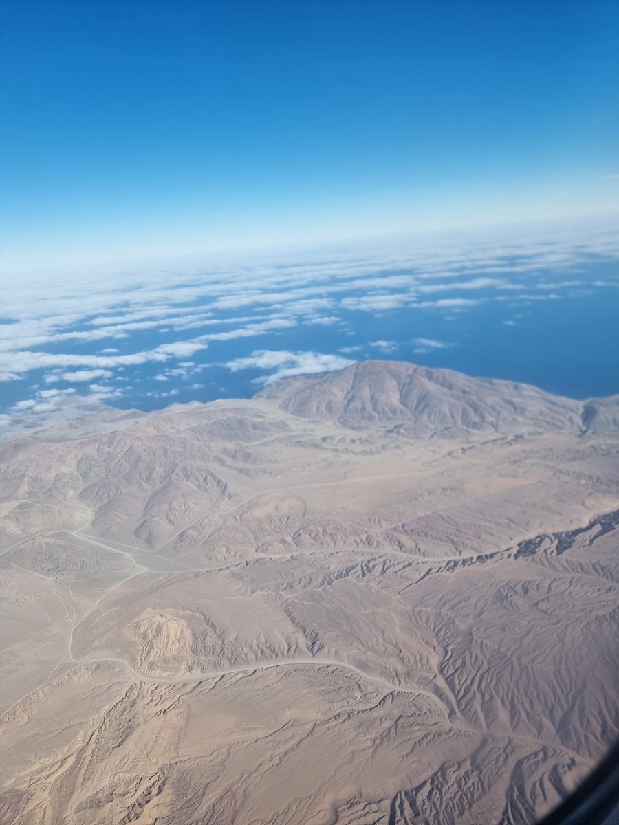 Chris Harrod tweet media