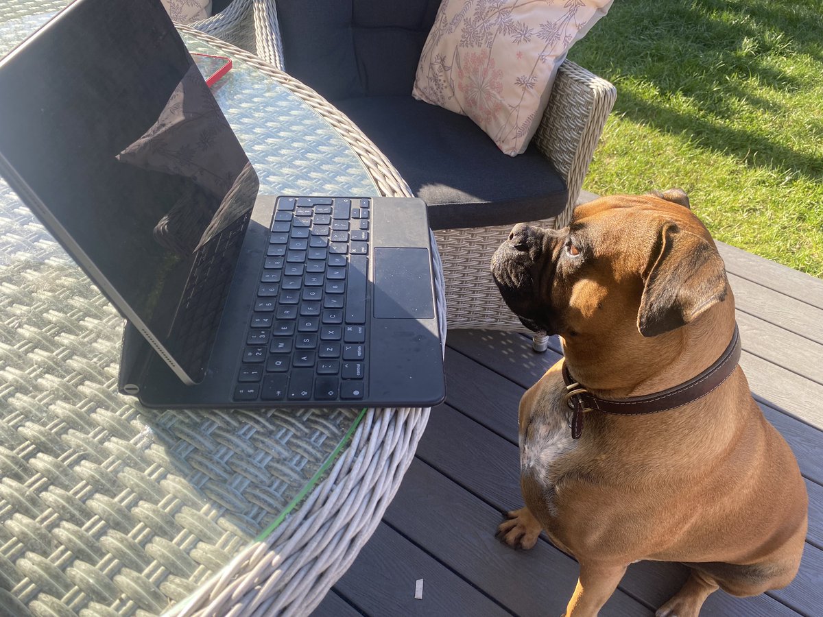 ReadingMMP's tweet photo. Wilson’s Top Tip!
Never underestimate the value of a Graphic Designer in your next promotional project. We have our own in-house designer, Iain, who would be delighted to assist! https://t.co/tCpHJzj4uG
