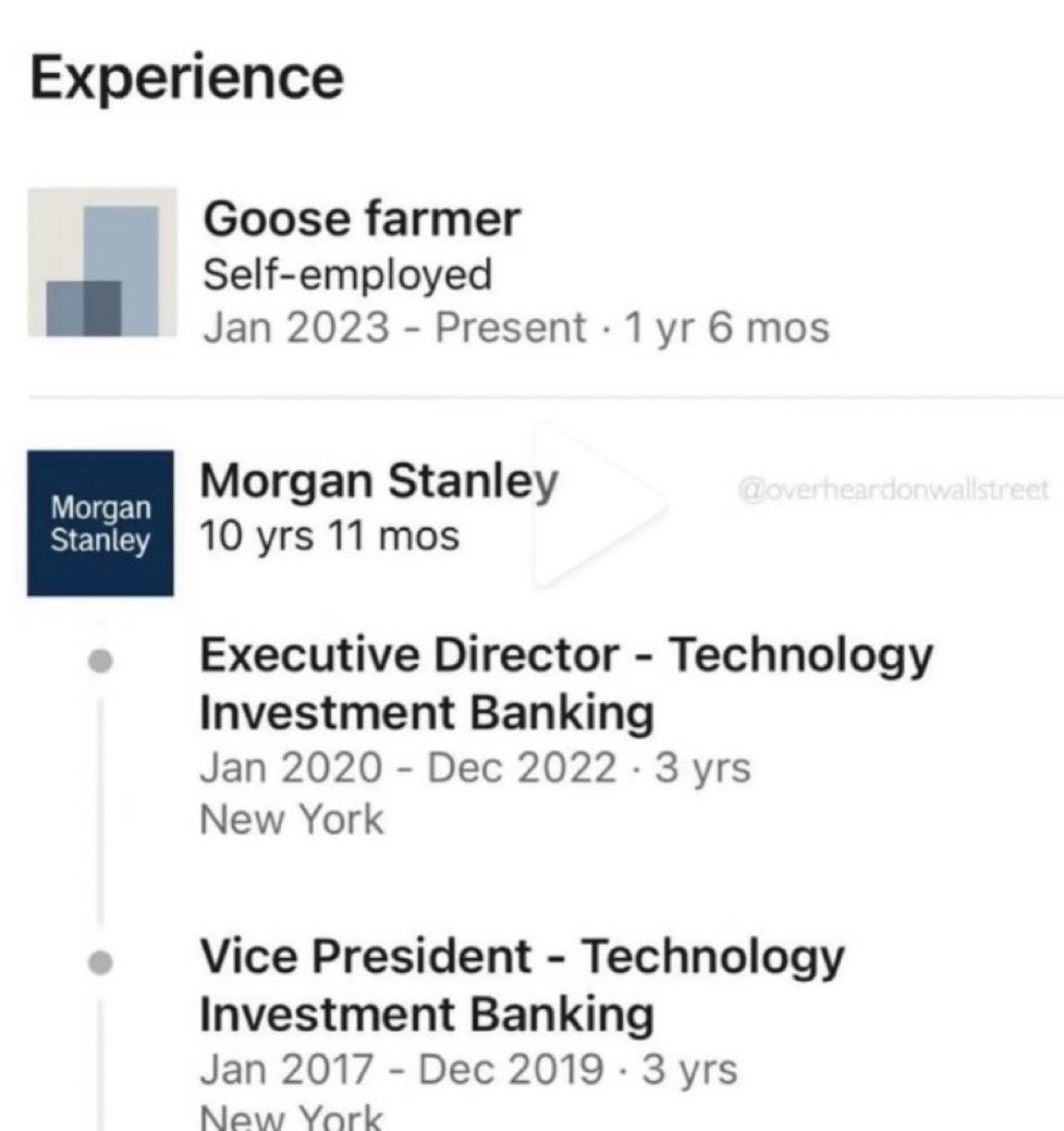 Guys only want one thing and it is to leave their M&amp;A office jobs to become a goose farmer in the middle of nowhere