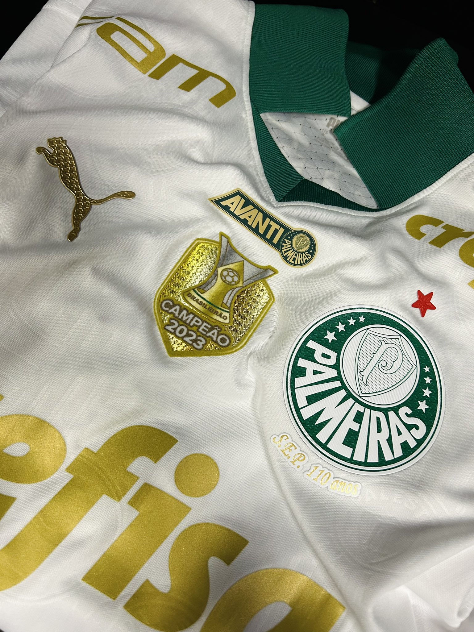 VERDÃO ESCALADO! Palmeiras está pronto para o duelo contra o Flamengo