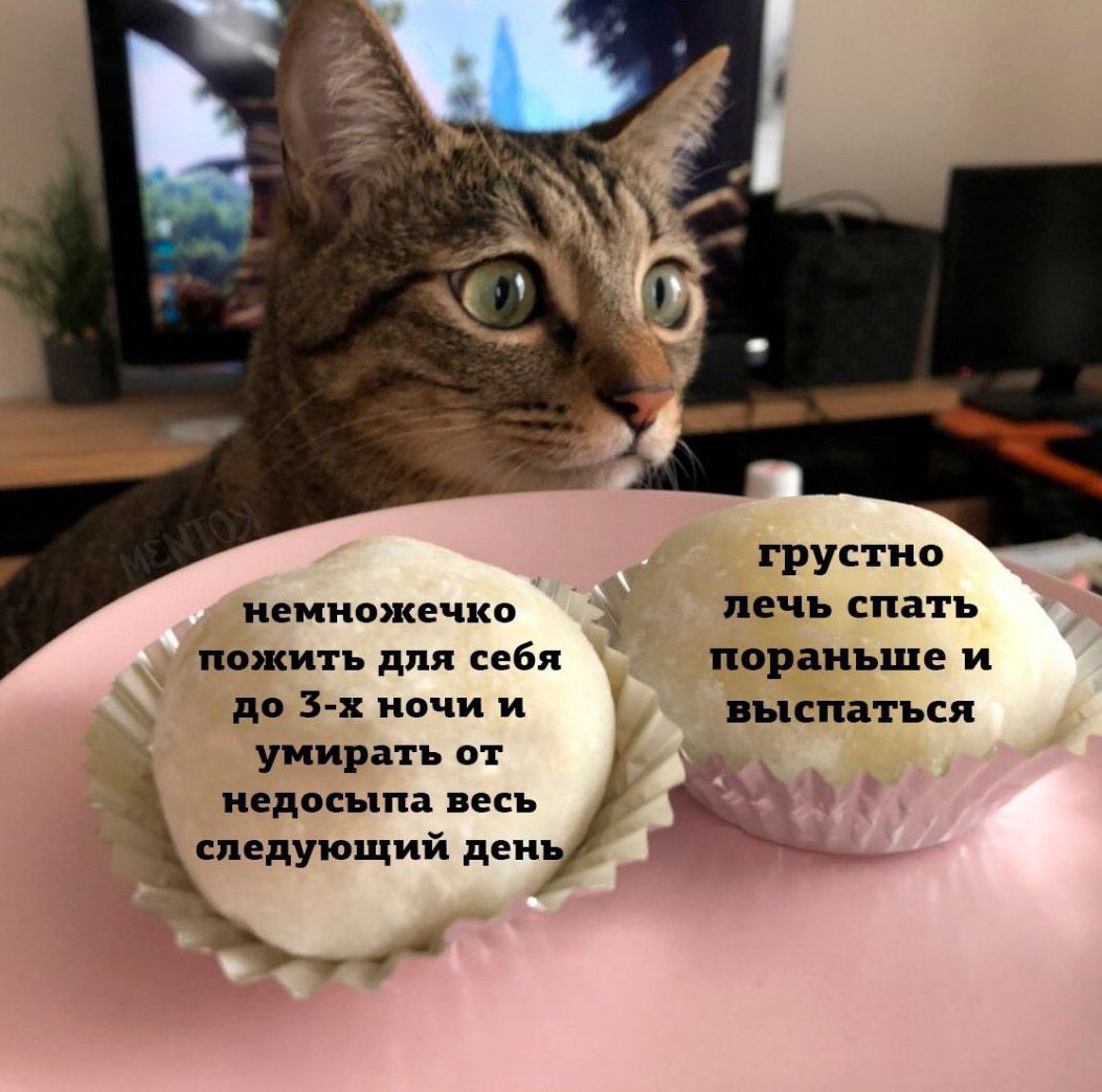 Ringeko_Mio's tweet photo. расскажите о себе используя 4 мема из сохраненок https://t.co/H0zYEqjTqK