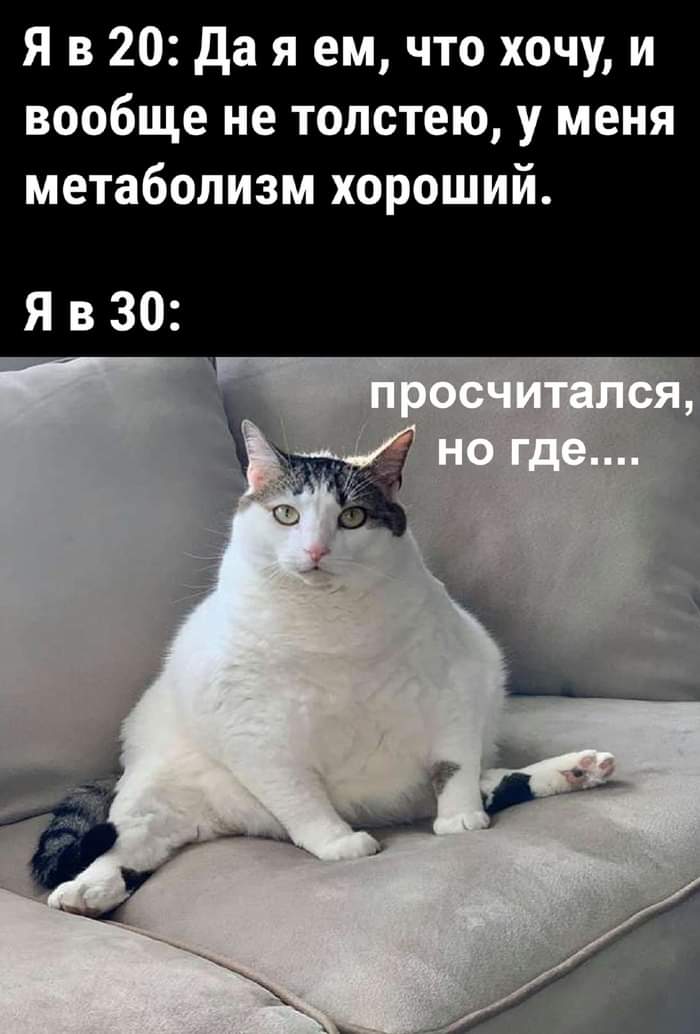 Ringeko_Mio's tweet photo. расскажите о себе используя 4 мема из сохраненок https://t.co/H0zYEqjTqK