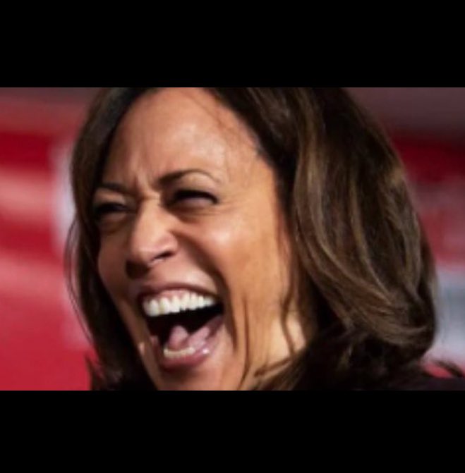 atensnut's tweet photo. How long before Kamala says….. 

“Make America Great Again?” https://t.co/1ukybtrrFp