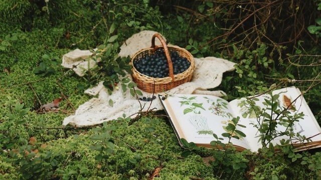 shewearprada's tweet photo. Summer breeze 🌿🍸☁️ https://t.co/e7KAhmWejw